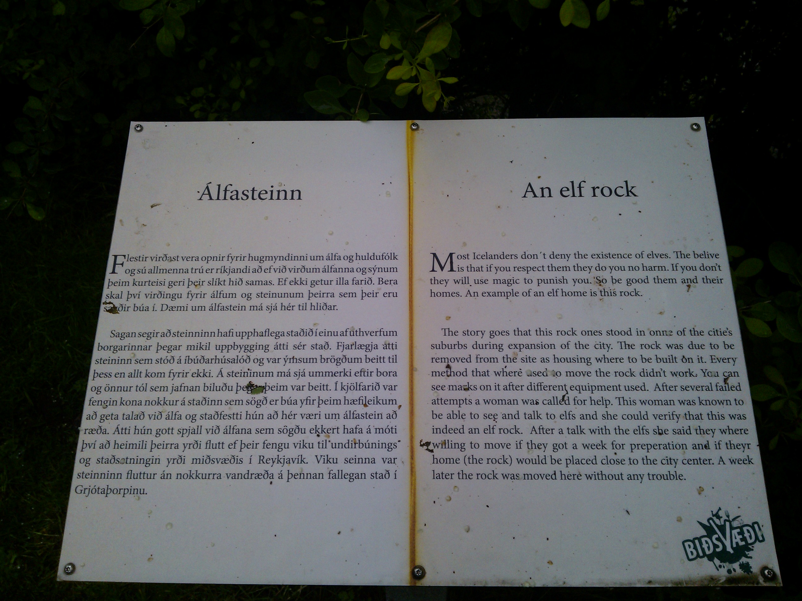 WP_001187.jpg